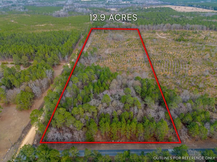 12.90 Acres - Cox Tract 1 in Dodge, GA	