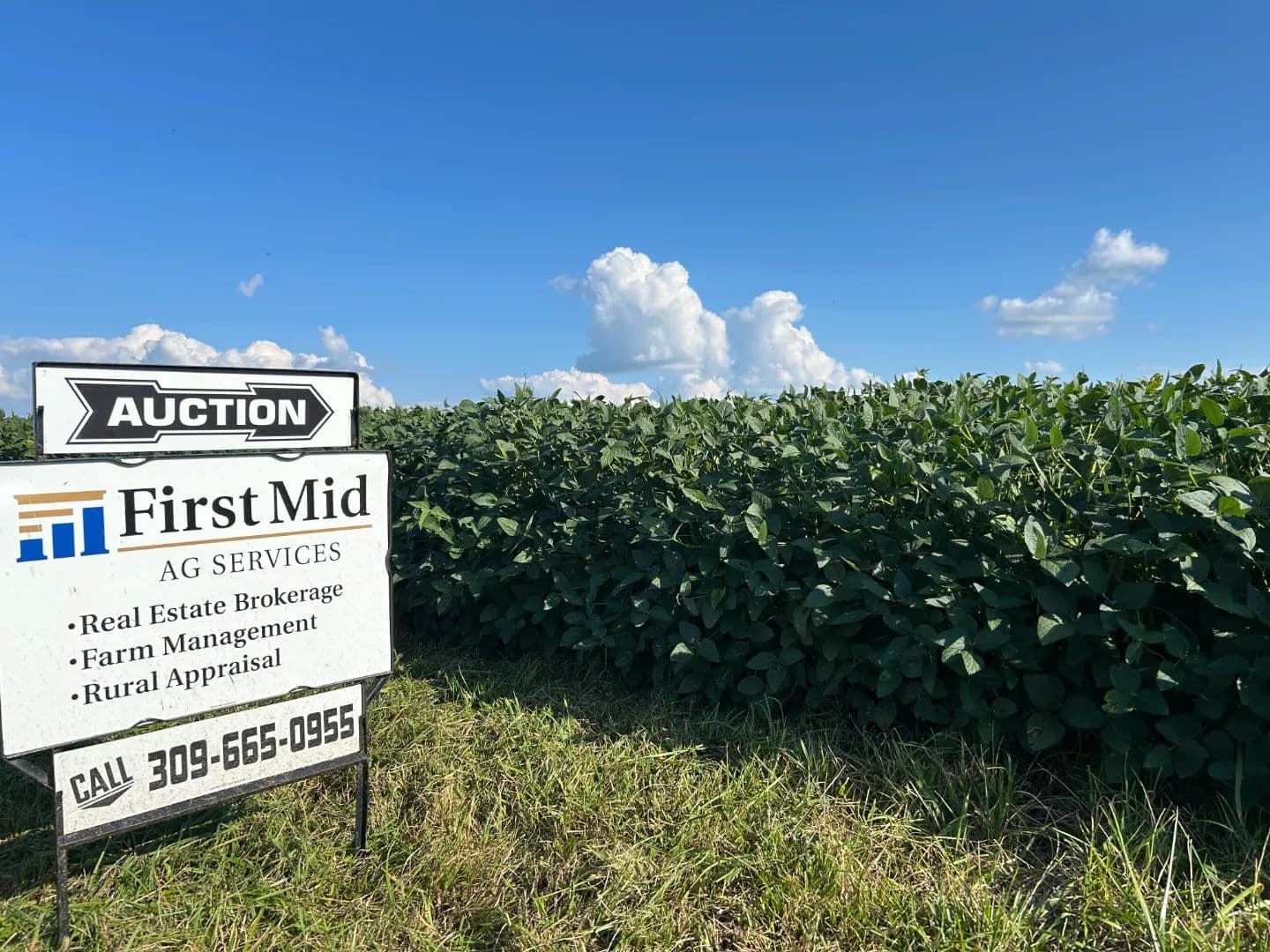 The Bertsche Family Trusts Farmland Auction | 192.69 +/-  Acres | Livingston County, IL - Flanagan, Illinois, 61740