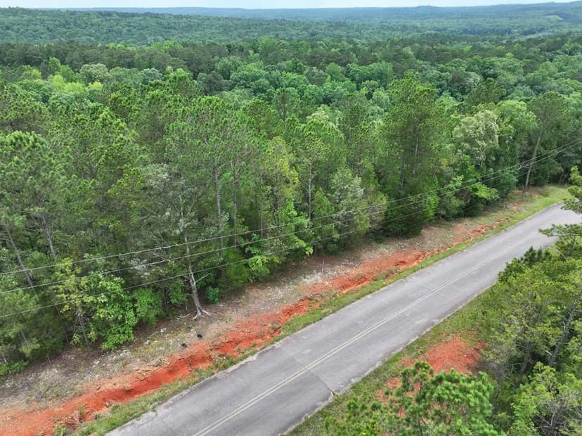 Vacant Land in Fortson