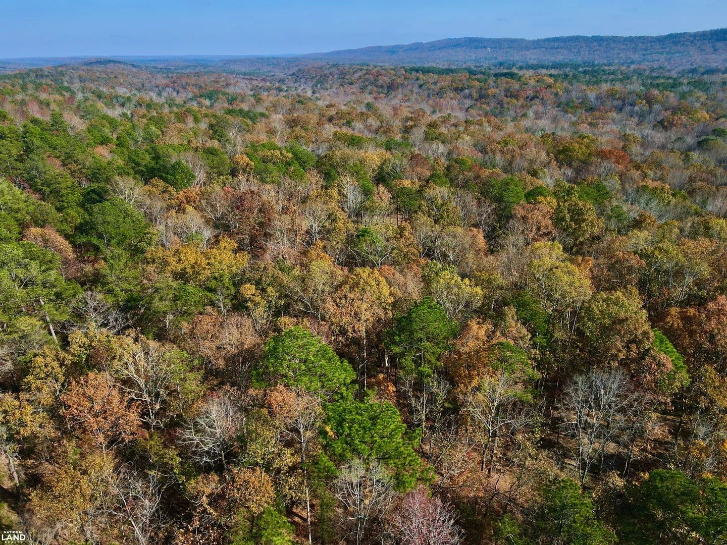 Longleaf Ridge Tract - Leeds, Alabama, 35094