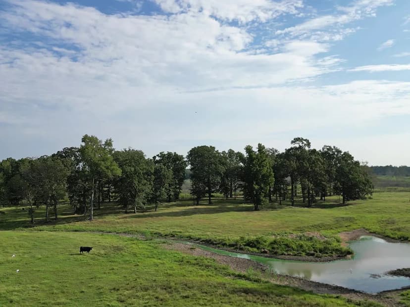 1075 Acre Texas Cattle Ranch, Simms, TX