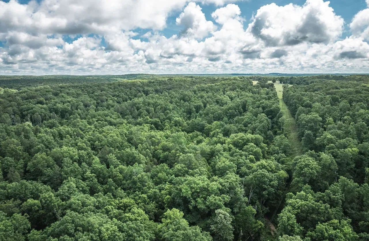 Crabtree Hollow Hideaway - Salem, Missouri, 65560