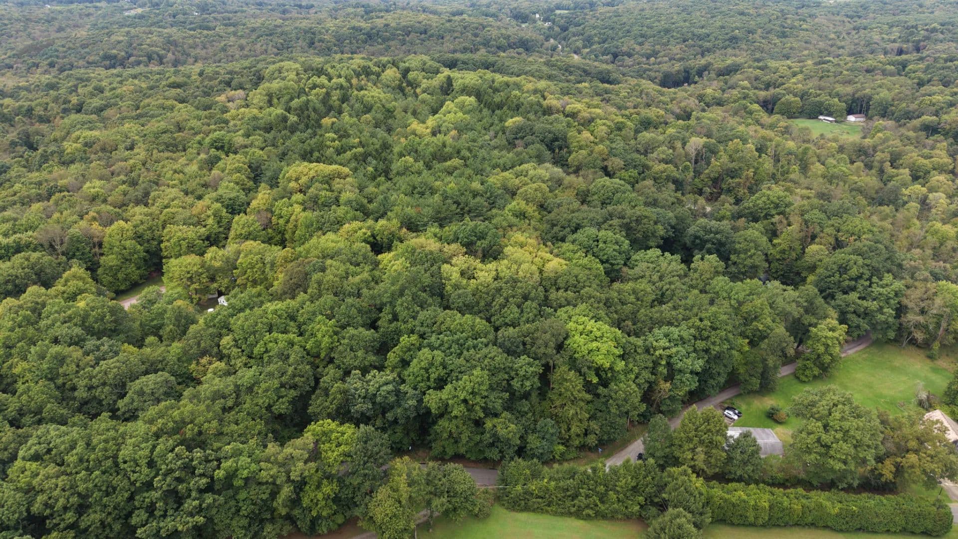 23.5 Wooded Acres in Clay Township, Butler County - Pennsylvania, 16061