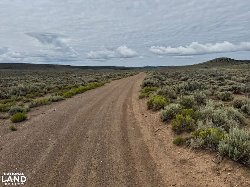 Sprawling +/- 40 Acres Adjoining BLM