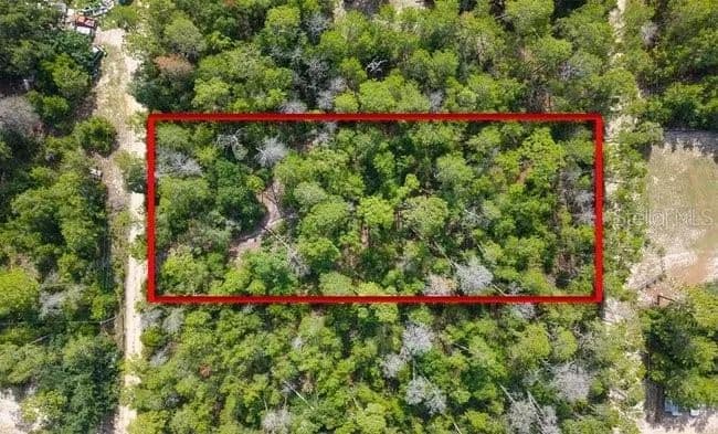 1 Acre of Land for Sale in PAISLEY, FL - Paisley, Florida, 32767