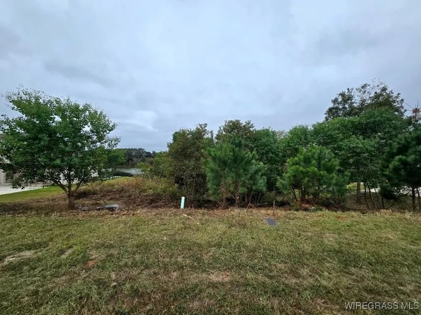 Vacant Land in Enterprise