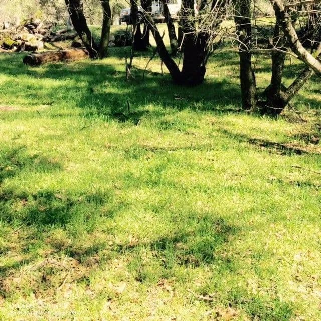 Property from 20306 Chaparral Circle - KW - Penn Valley, California, 95946