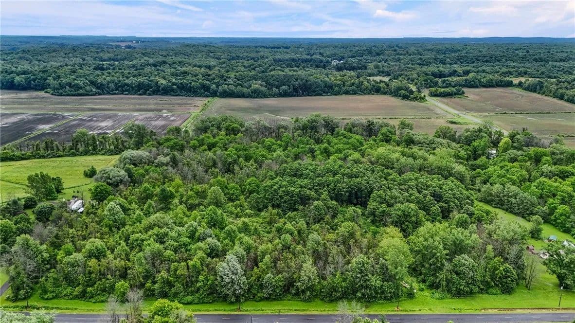 10 Acres of Land for Sale in Wolcott, NY - Wolcott, New York, 14590
