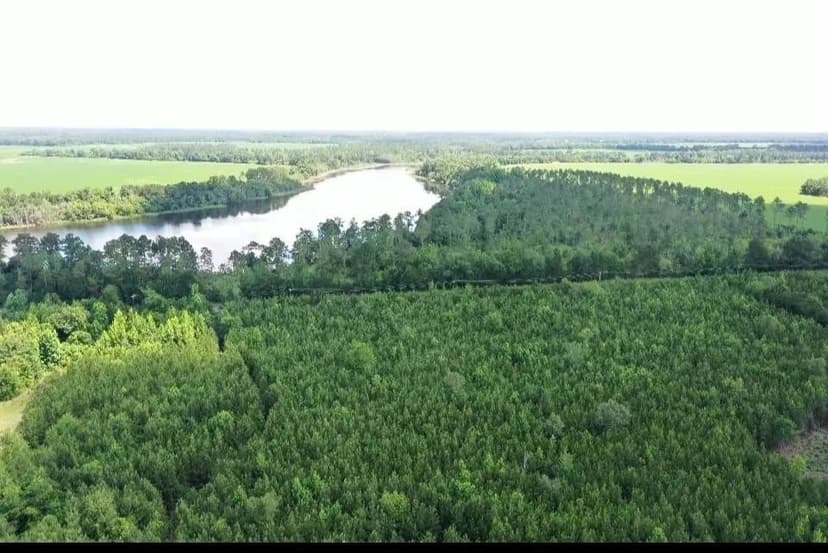 Lots & Land-Other in Gretna