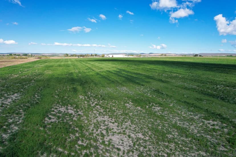 Ontario, Oregon Strategic Land (with house)