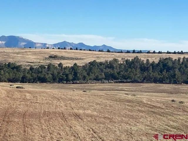 Vacant Land in Cortez - land for sale