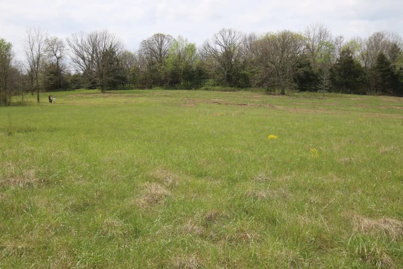 3.1 Acres (Lot 11) in Webster County, MO 