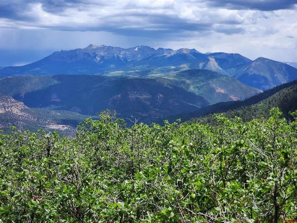 35.01 Acres of Land for Sale in Placerville, CO - Placerville, Colorado, 81430