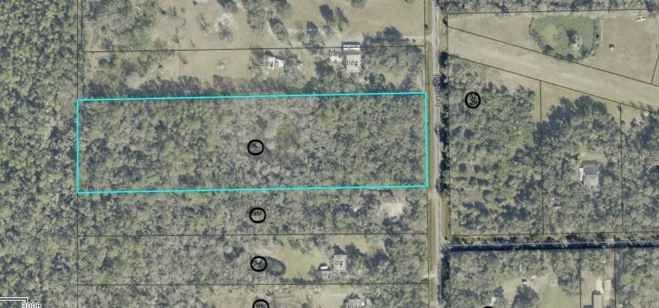 Property from JUNGLE ROAD - KW - Geneva, Florida, 32732