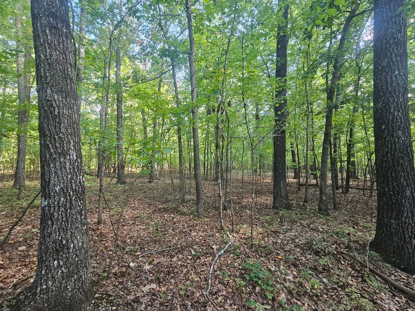 12ac. Toney Dr.  Attalla, AL - Altoona, Alabama, 35952