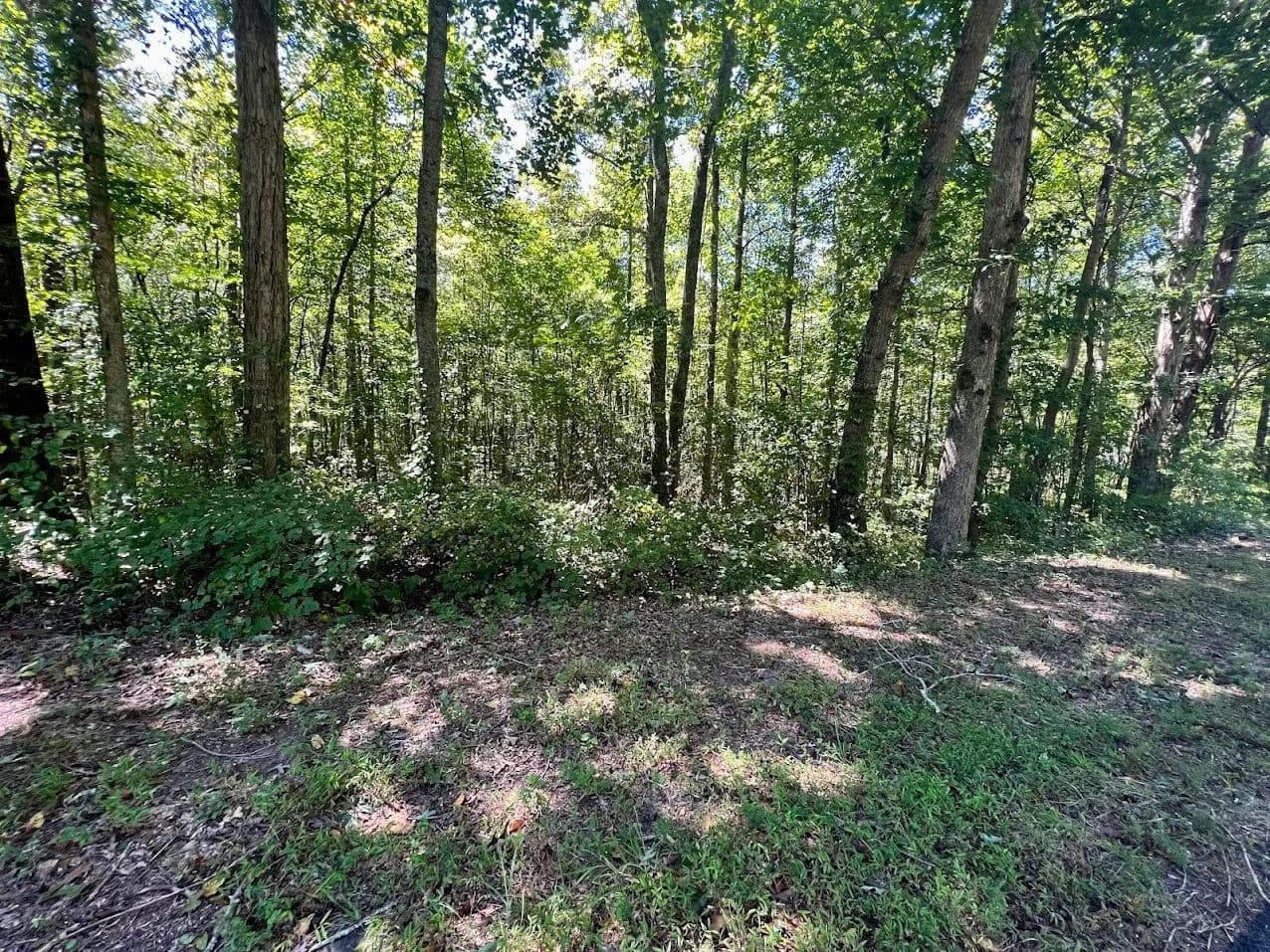 Land -Agricultural (Not Zoned) in Temple - Temple, Georgia, 30179