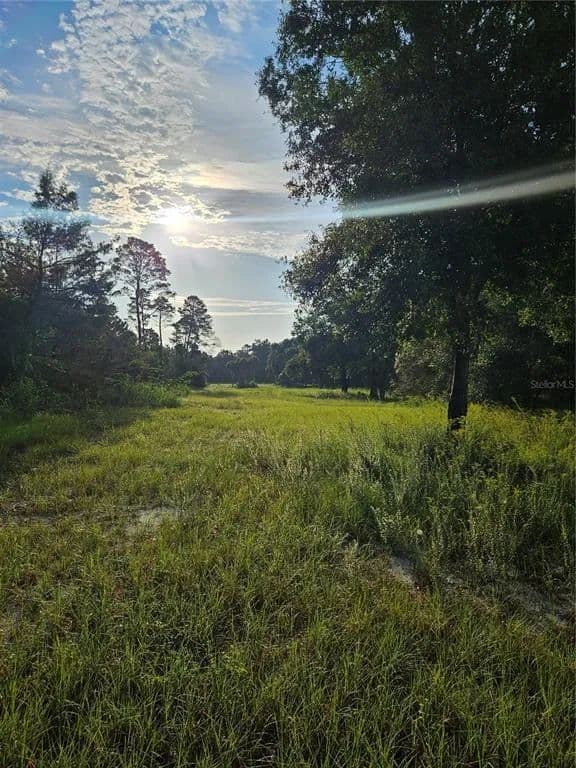 Vacant Land in Geneva - Geneva, Florida, 32732