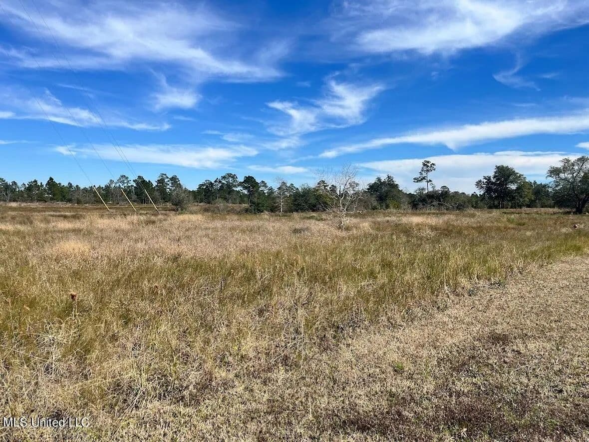 Vacant Land in Bay Saint Louis - Bay Saint Louis, Mississippi, 39520
