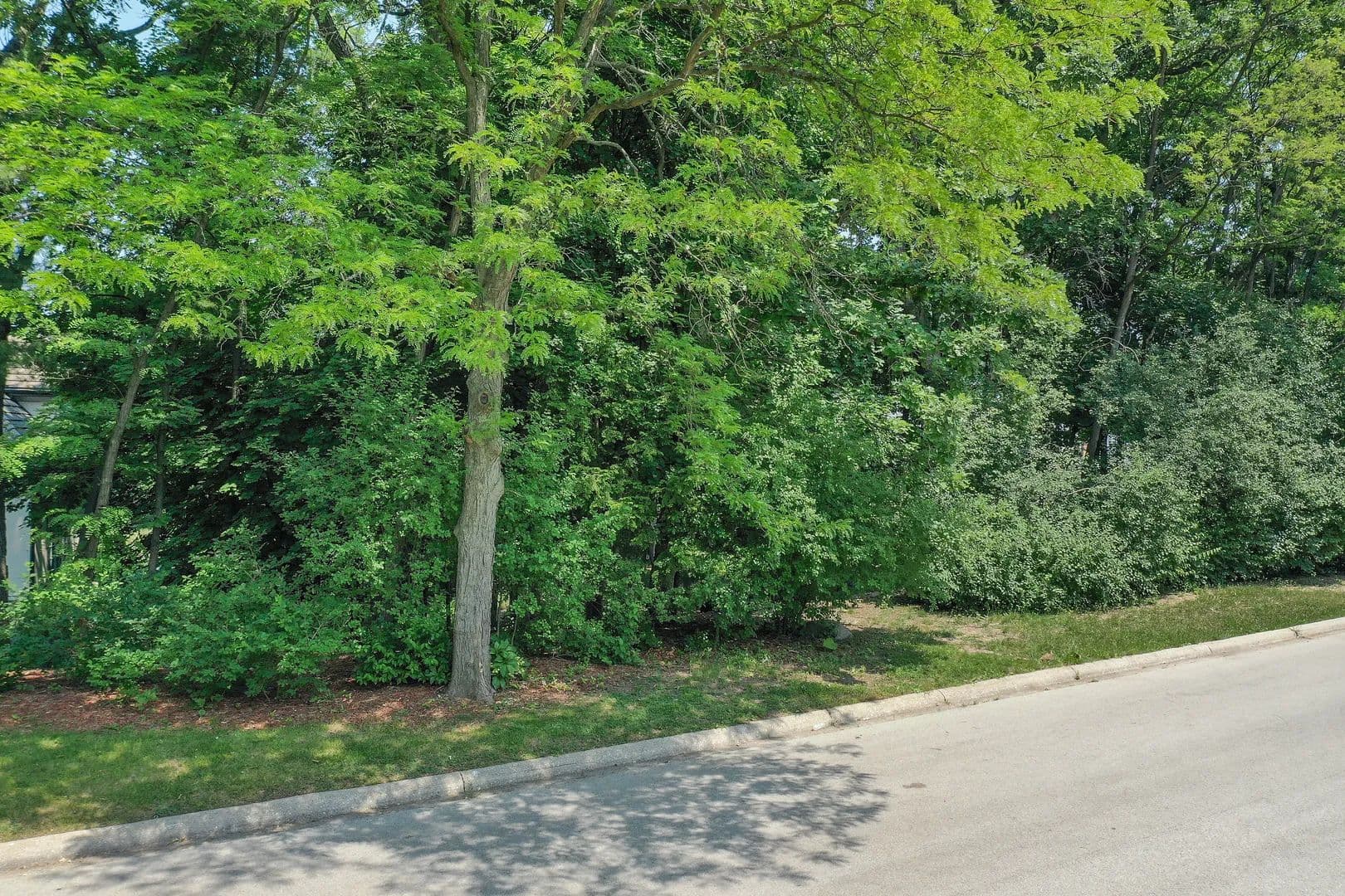Vacant Land in Oak Brook - Oak Brook, Illinois, 60523