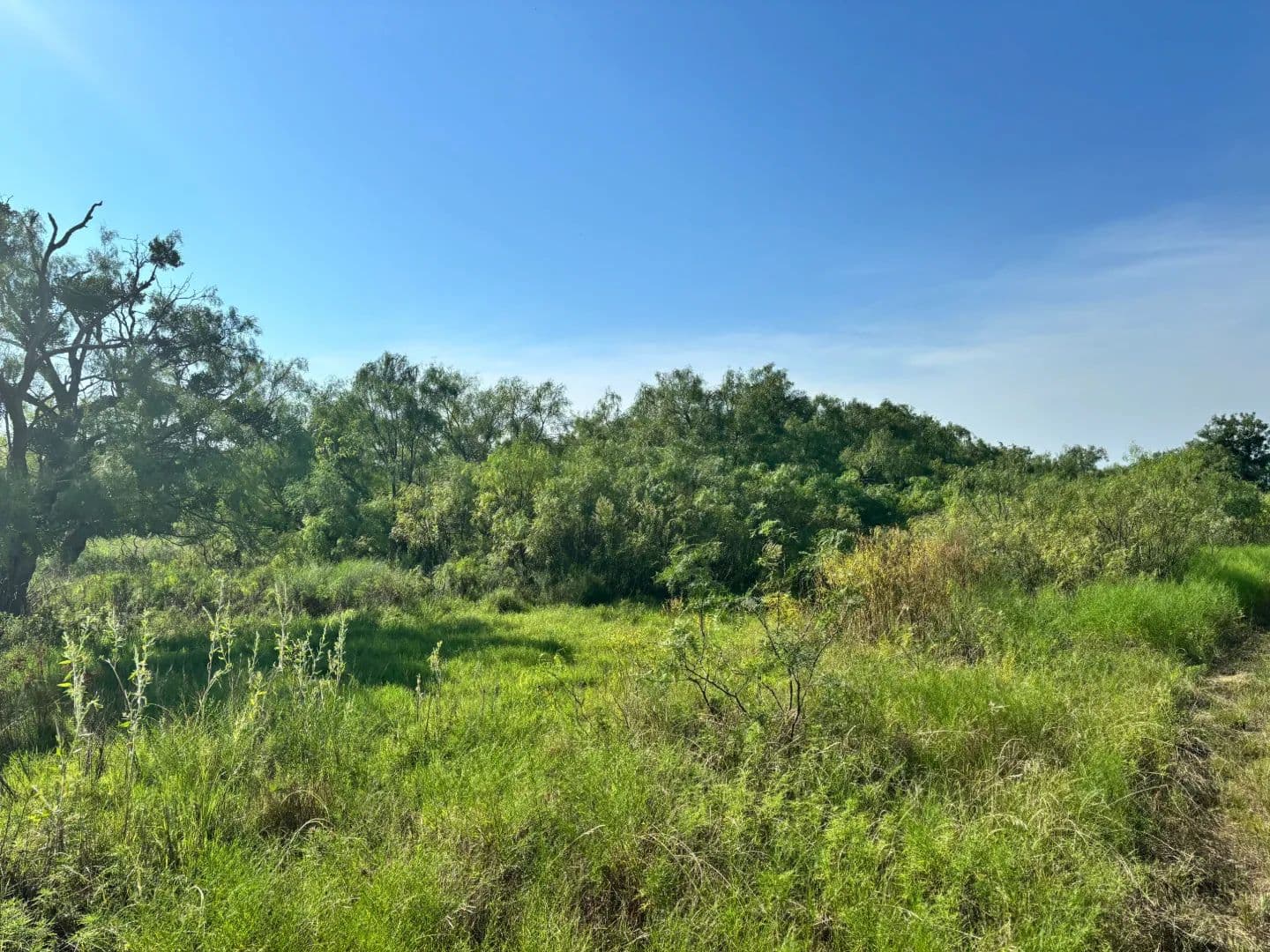 8 Acres McCulloch County - Brady, Texas, 76825