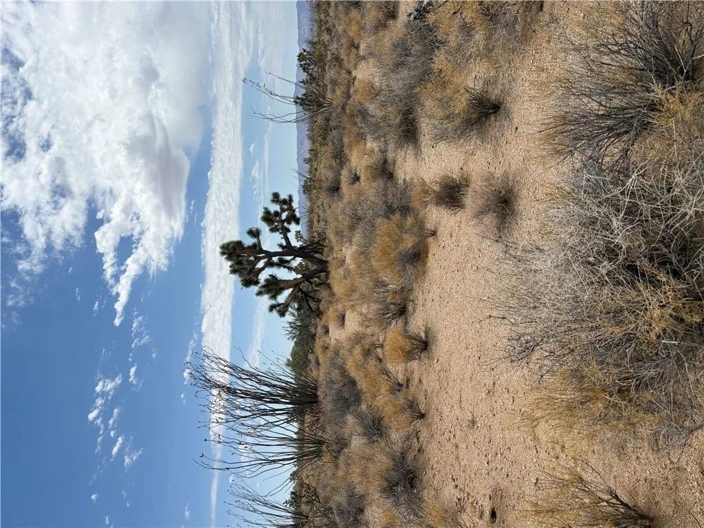 12.72 Acres of Land for Sale in Yucca, AZ - Yucca, Arizona, 86438