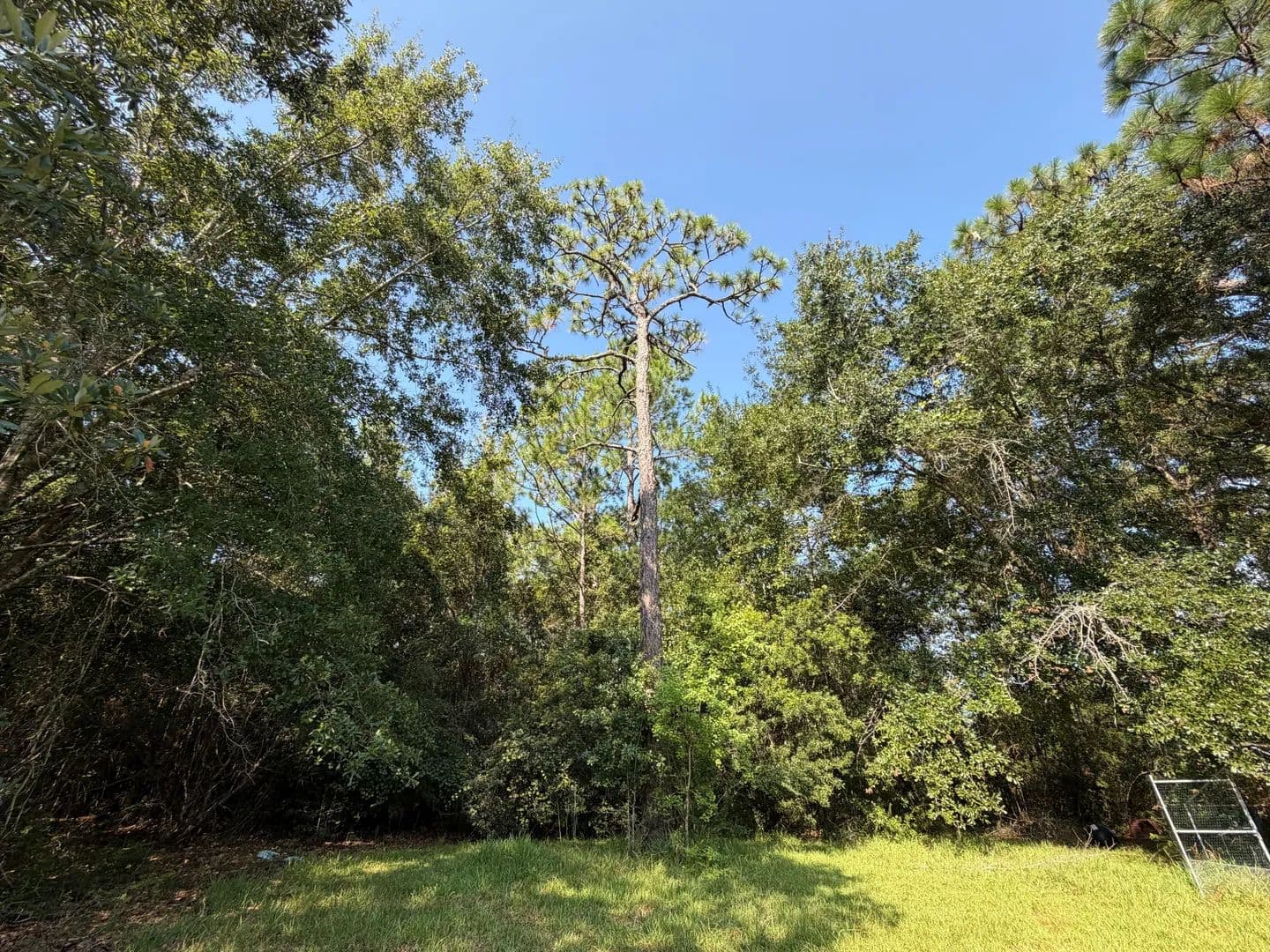 Lots & Land-Other in Milton - Milton, Florida, 32583