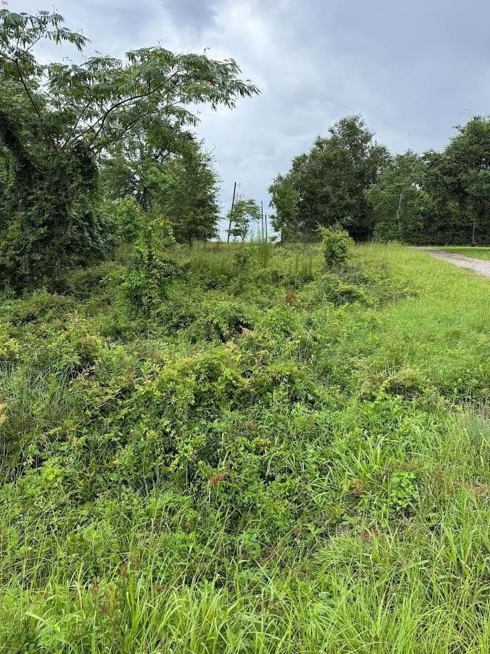 Property from 7993 Parkside Dr - KW - Donalsonville, Georgia, 39845