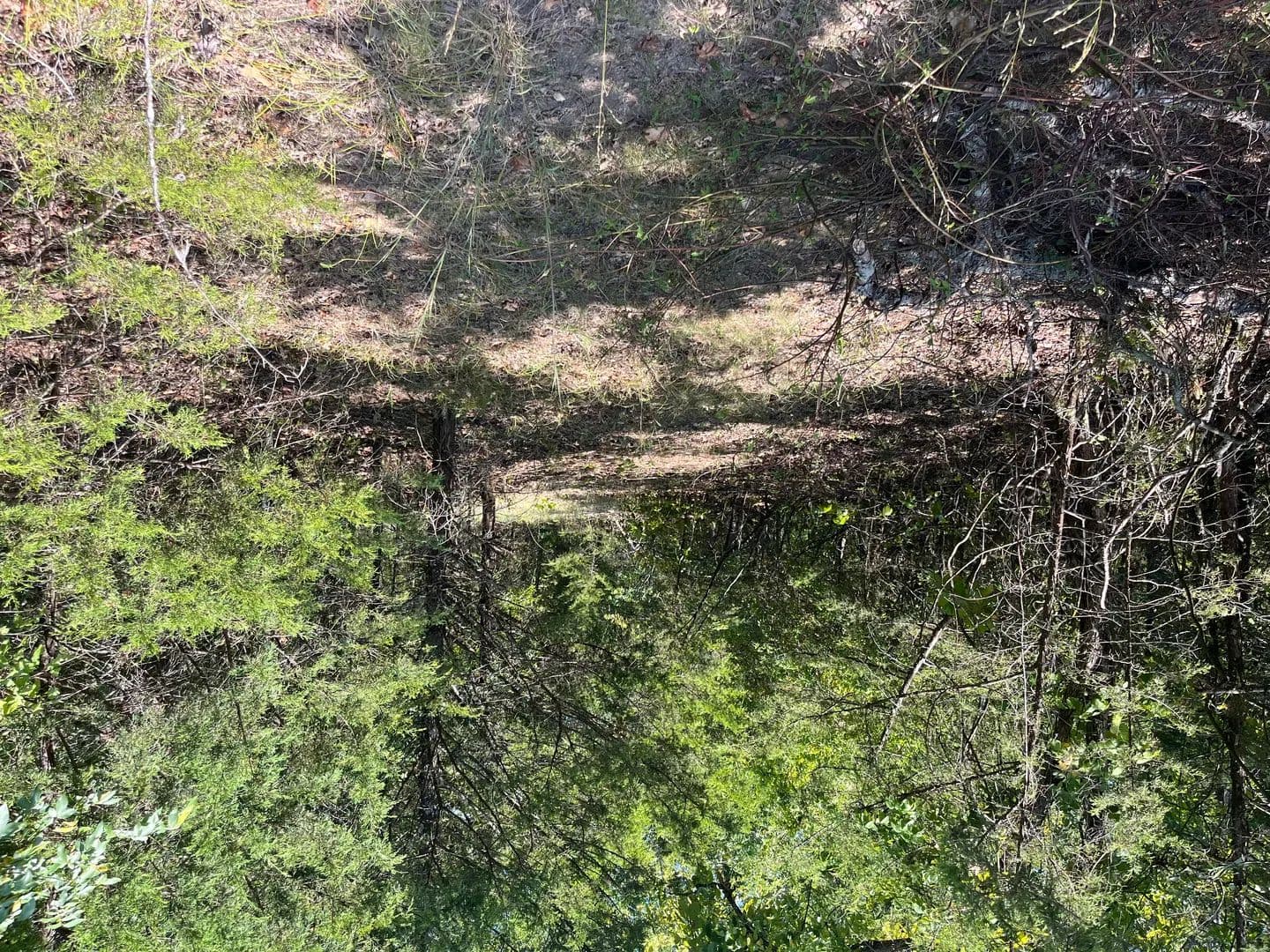 Vacant Land in Yellville - Yellville, Arkansas, 72687