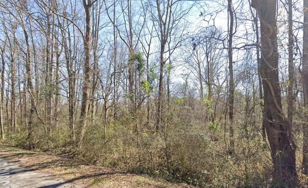 5.3 Acres of Land for Sale in Sandersville, GA - Sandersville, Georgia, 31082