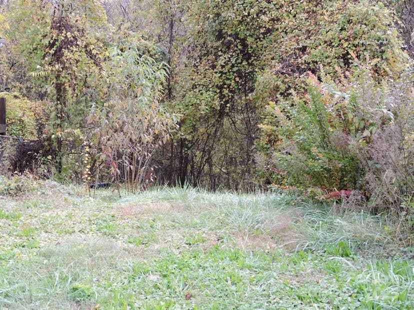 Lots & Land-Other in Asheville