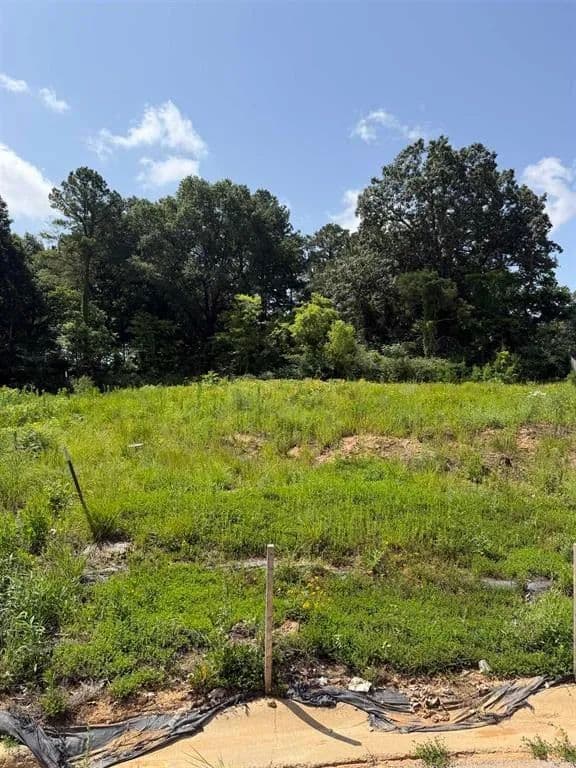 Land -Single Family Acreage in Jonesboro - Jonesboro, Arkansas, 72405