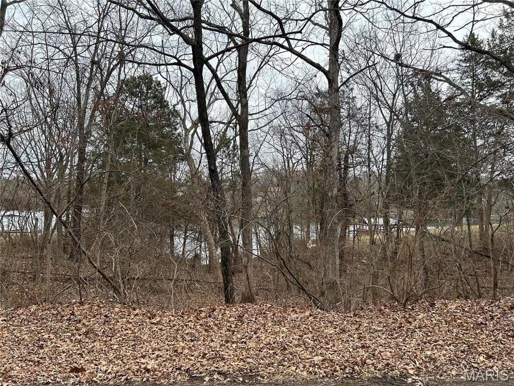 Vacant Land in De Soto - De Soto, Missouri, 63020