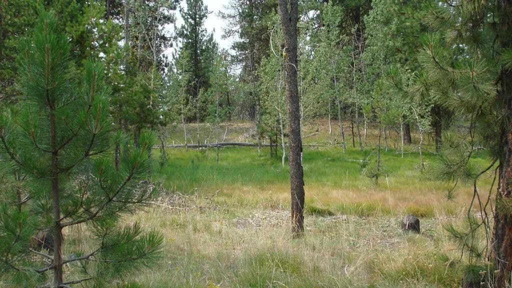Lots & Land-Other in McCall - Mccall, Idaho, 83638