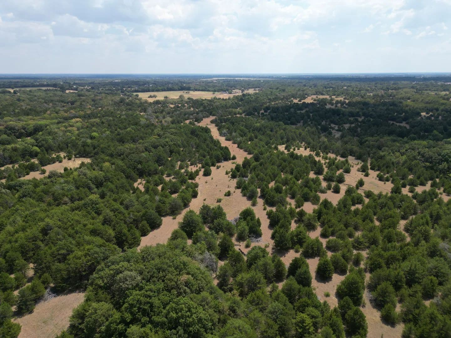Land -Agricultural (Not Zoned) in Celeste - Celeste, Texas, 75423