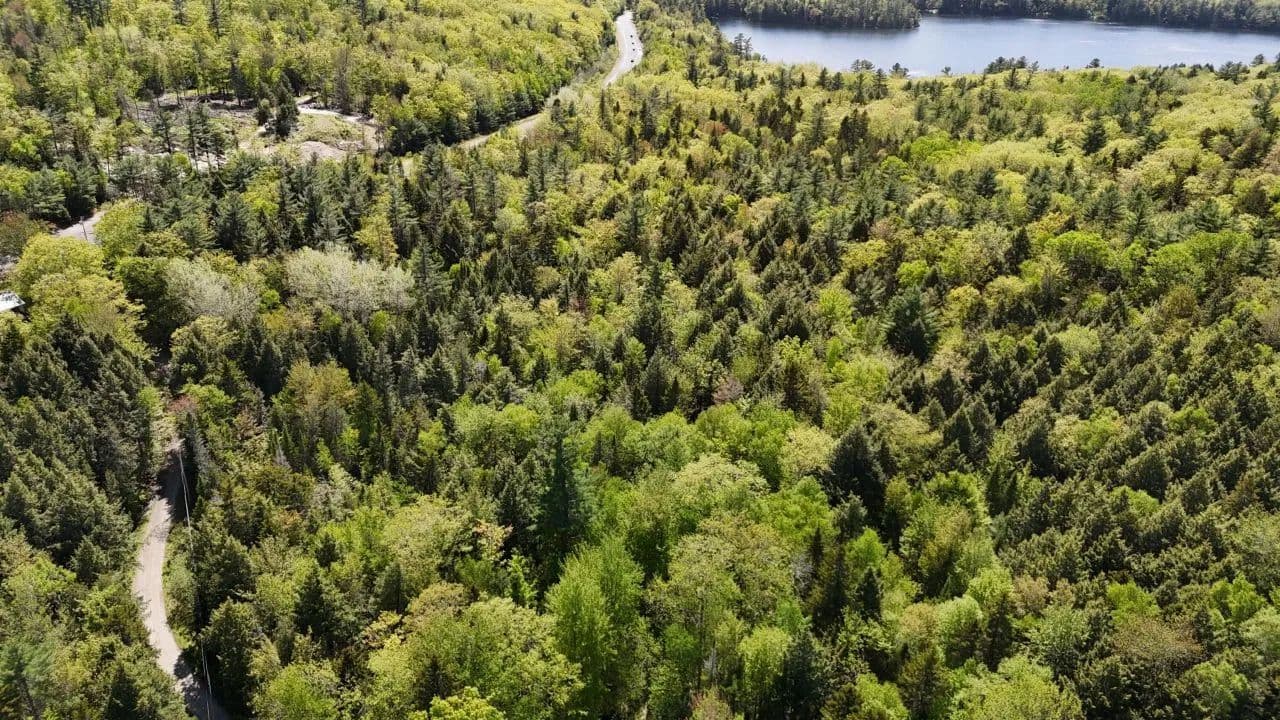 Land -Single Family Acreage in Orland - Orland, Maine, 04472