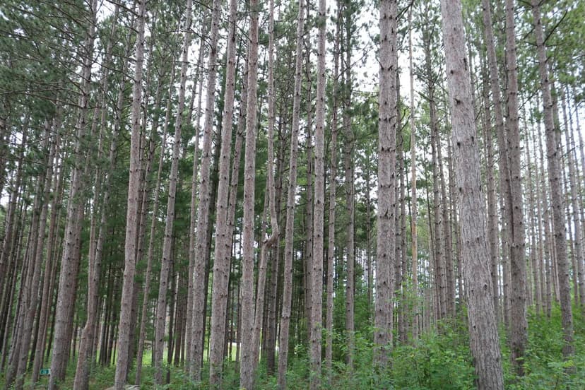 Vacant Land in Farmington