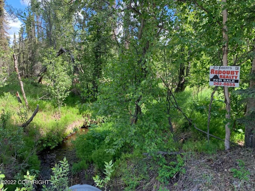 Property from Tract A Silver Salmon Drive - KW