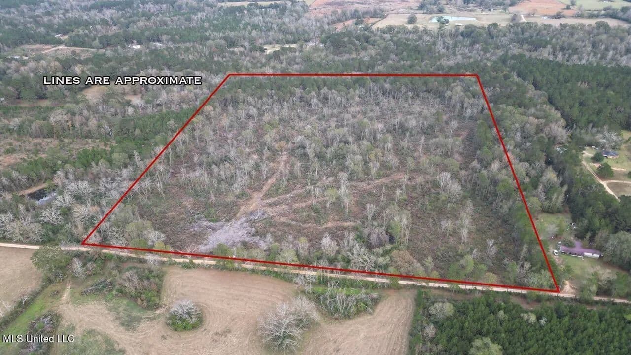 36 Acres in Pike County, Mississippi - Scenic Rural Retreat - Magnolia, Mississippi, 39652