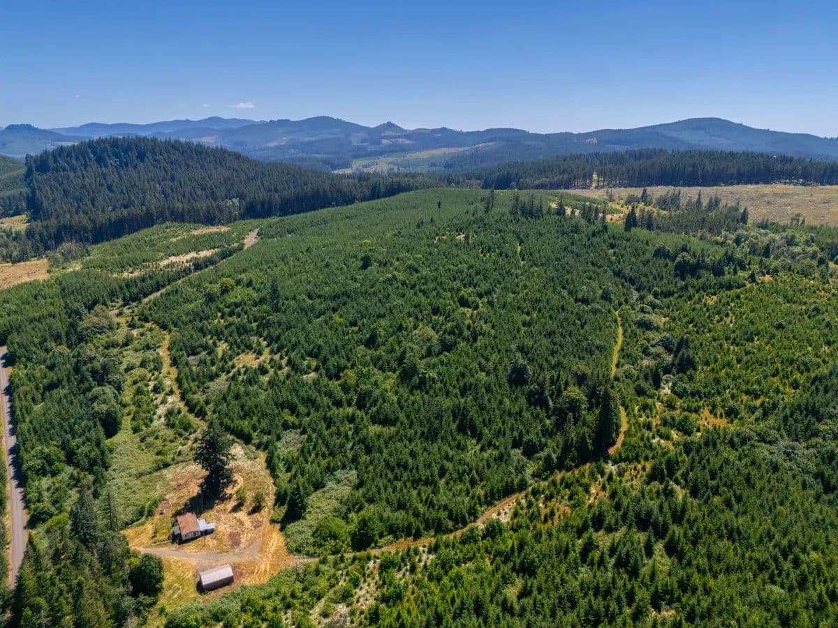 Ingram Rd - Lebanon, Oregon, 97355