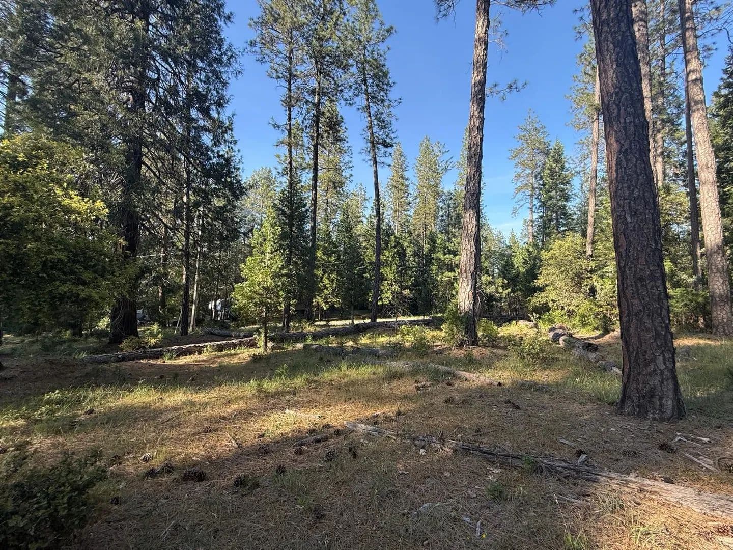 Property from 0 Pine Cone Lane - KW - Meadow Vista, California, 95602