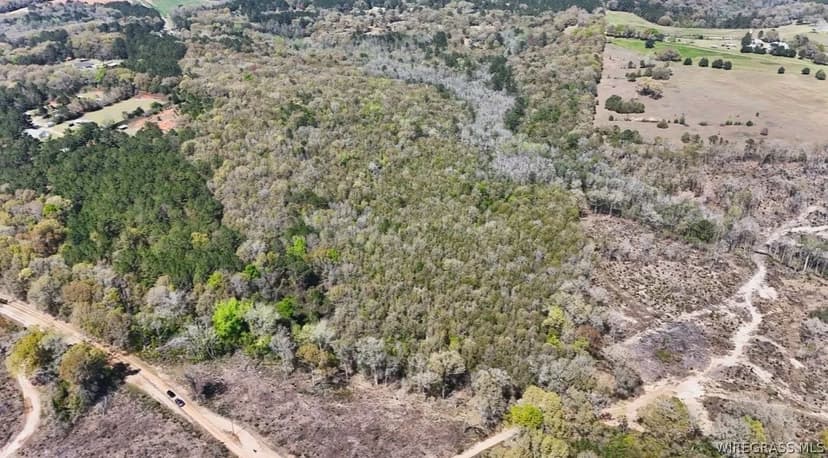 Property from 0 County Road 437 Highway - KW