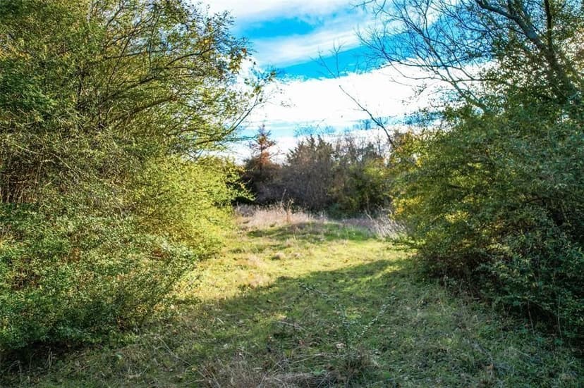 Vacant Land in Dallas