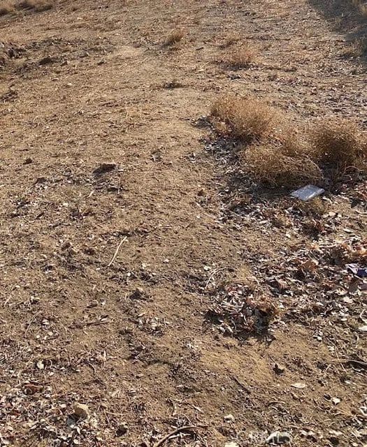 Vacant Land in Redman - Redman, California, 93535