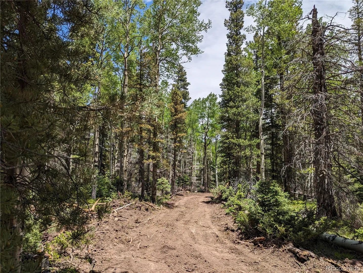 Property from 2904 Henderson Drive - KW - Fort Garland, Colorado, 81133