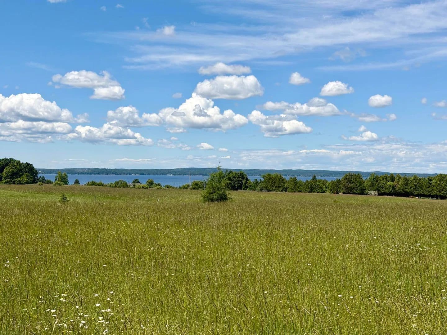 Vacant Land in Cheboygan - land for sale