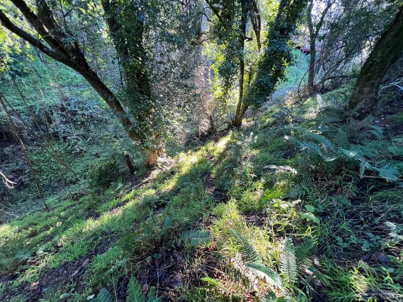 Vacant Land in Mill Valley