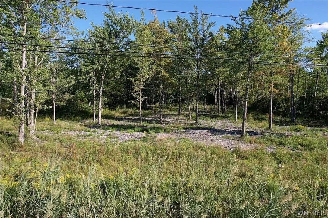 Lots & Land-Other in Angola - Angola, New York, 14006