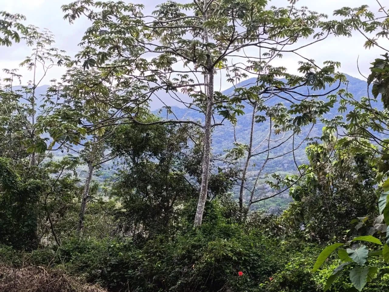 Terreno de 2.035 m² en San Pedro de Turrubares - Costa Rica