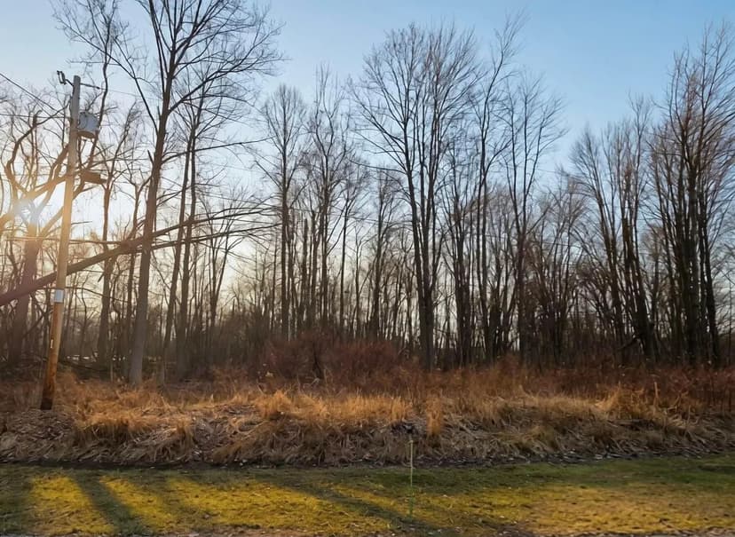Vacant Land in Mount Gilead