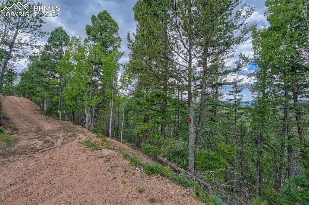Lots & Land-Other in Woodland Park - Woodland Park, Colorado, 80863